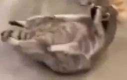 gfgt6yghj,