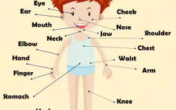 Body Parts to Choppedy Chop
