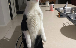 wjeknde