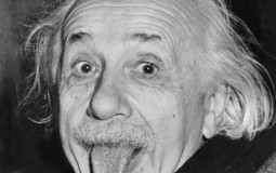 Intelligencia