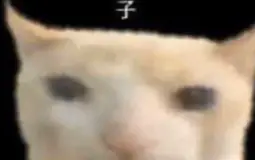 feliplemoviedeahtmatch