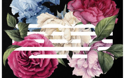 BTS albums