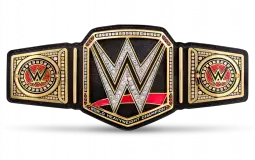 WWE Champions And Heavy Weight Champions