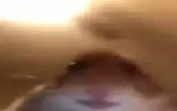people in da discord baby okokokok