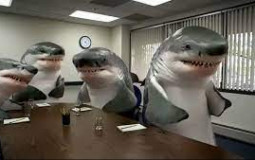 Shark Company Members