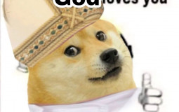 Gun
