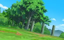 animes