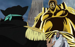 one piece