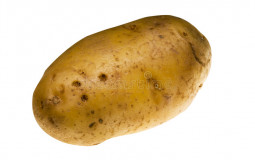 Best Potato