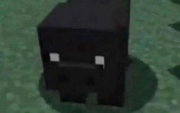 Ham