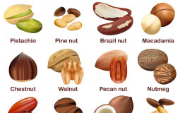 Best Nuts