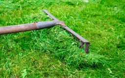 rake types