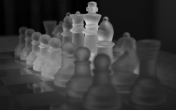Knockoff chess.com websites