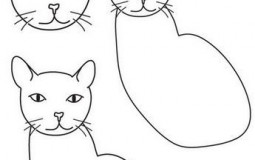 Chats