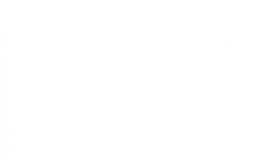 sm stepp