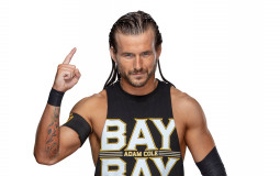 Wrestling theme son