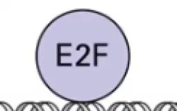 BIO201 Proteins 2.0