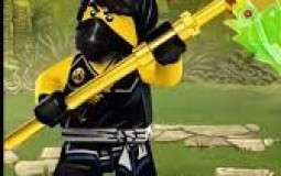 ninja