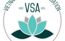 VSA TIER LIST