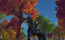 My horses