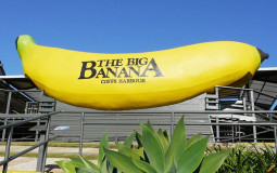 Wow, it's so Big