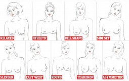 tits shape