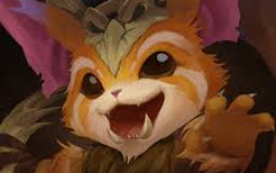 Gnar skins