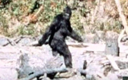 Bigfoot Sightings