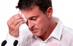 Insults_cesi
