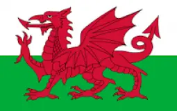 Welsh Fortnite Players