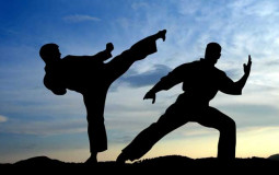 Martial Arts
