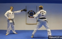 Taekwondo/Tricking Kicks