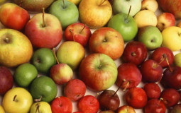 Apple varieties