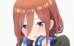 my waifus