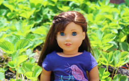 Tier Ranking My AG Dolls