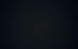 Disput