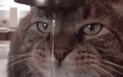 LES PLUS DROLES DU DISCROD