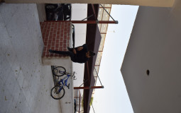 ###### Ninja Trims