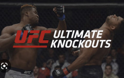 Best UFC Knockouts Of 2022