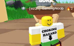 pp