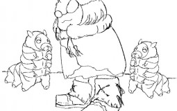 coffee shop dom tier list