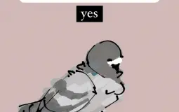 ayo