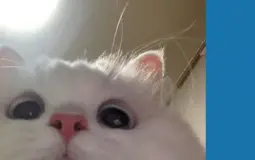 Any Types of games/ ANY kind of games,COMPUTER MOBILE CONSOLE UH