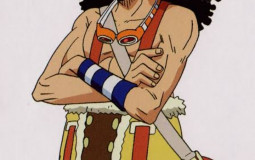 Tils liti de anime