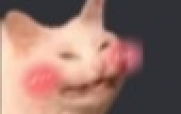 Types of Amongus players