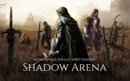Shadow Arena Solo Tier List