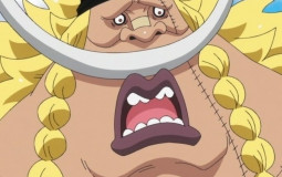 Les plus forts de one piece