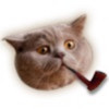 ElKevinou Avatar