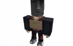 g4gsegsgrs