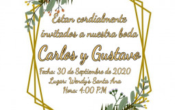 Gay Aronistas